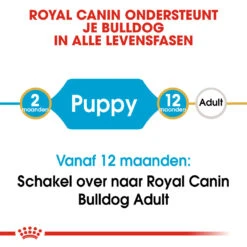 Royal Canin Hondenvoer Bulldog Puppy 3 Kg 7 Royal Canin Hondenvoer Bulldog Puppy 3 Kg -Beeztees Winkel royal canin bulldog junior pup hond bulldog hero image 9
