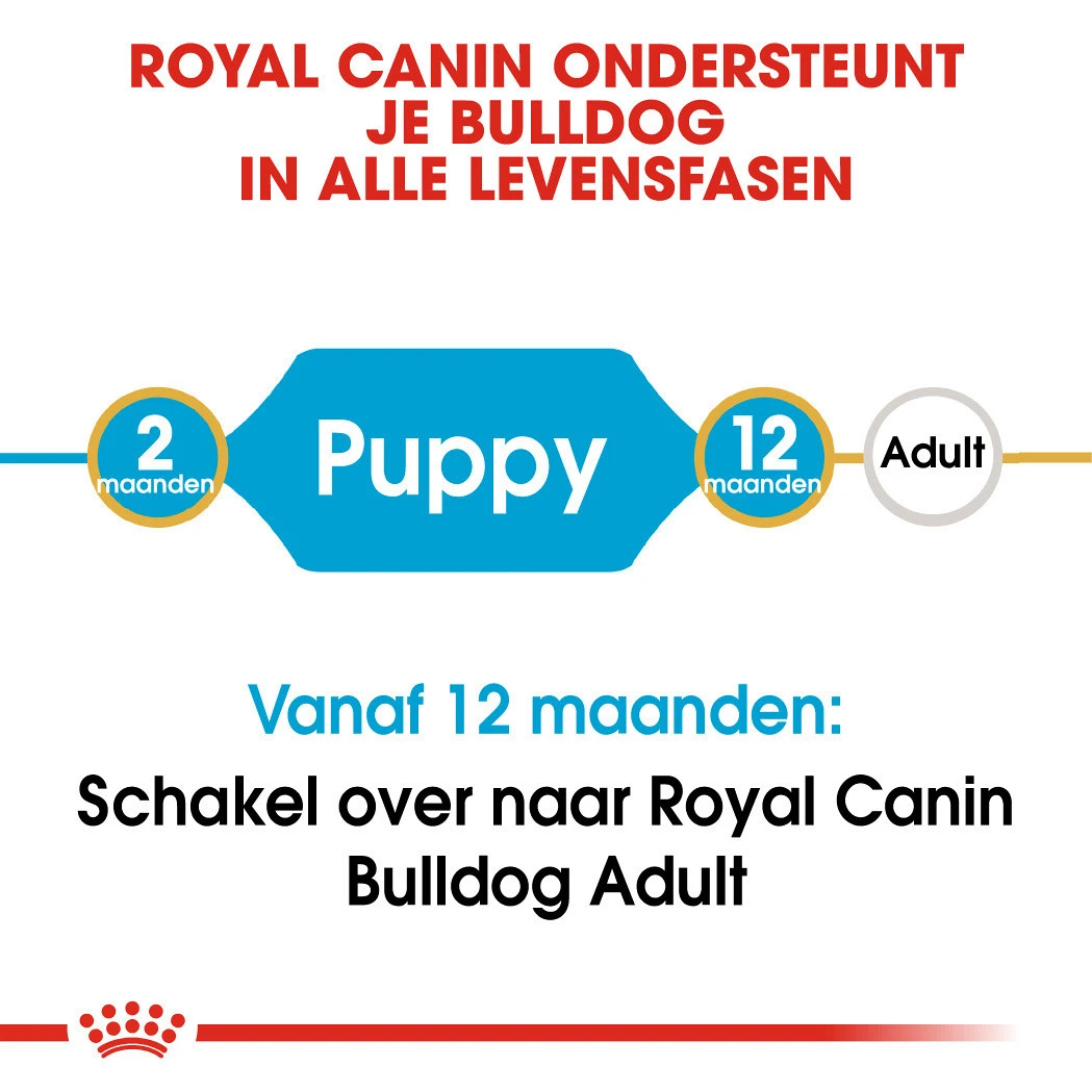 Royal Canin Hondenvoer Bulldog Puppy 3 Kg 4 Royal Canin Hondenvoer Bulldog Puppy 3 Kg - Afbeelding 4