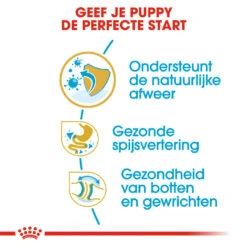Royal Canin Hondenvoer Bulldog Puppy 3 Kg 6 Royal Canin Hondenvoer Bulldog Puppy 3 Kg -Beeztees Winkel royal canin bulldog junior pup hond bulldog hero usp