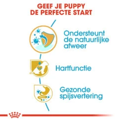 Royal Canin Hondenvoer Cavalier King Charles Puppy 1,5 Kg -Beeztees Winkel royal canin cavalier king charles junior pup hond cavalier king charles hero usp