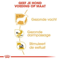 Royal Canin Hondenvoer Chihuahua Adult 12 X 85 Gr -Beeztees Winkel royal canin chihuahua adult natvoer volwassen hond chihuahua vanaf 8 maanden hero usp