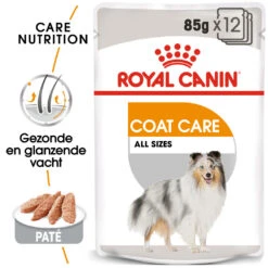 Royal Canin Hondenvoer Coat Care 12 X 85 Gr -Beeztees Winkel royal canin coat care natvoeding extra zorg vacht volwassen honden hero packshot