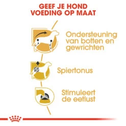 Royal Canin Hondenvoer Dachs-hund Adult 12 X 85 Gr 7 Royal Canin Hondenvoer Dachs-hund Adult 12 X 85 Gr -Beeztees Winkel royal canin dachshund adult natvoer volwassen hond teckel vanaf 10 maanden hero usp