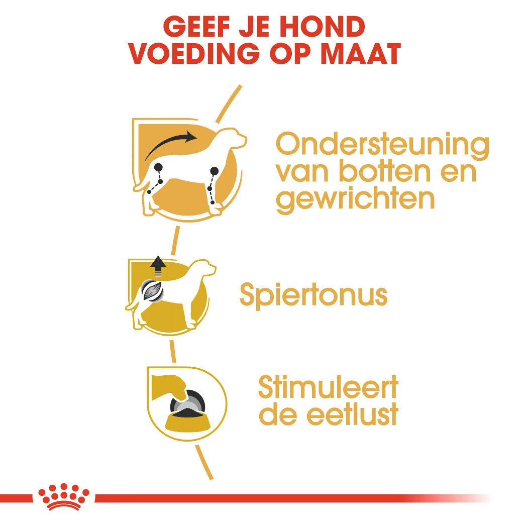 Royal Canin Hondenvoer Dachs-hund Adult 12 X 85 Gr 4 Royal Canin Hondenvoer Dachs-hund Adult 12 X 85 Gr - Afbeelding 4