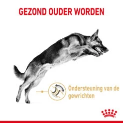 Royal Canin Hondenvoer German Shepherd Adult 5+ 12 Kg -Beeztees Winkel royal canin german shepherd adult volwassen hond duitse herder vanaf 5 jaar hero usp