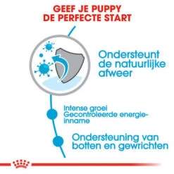 Royal Canin Hondenvoer Giant Puppy 15 Kg -Beeztees Winkel royal canin giant puppy pup hond zeer grote hondenrassen hero usp