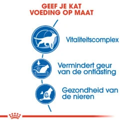 Royal Canin Kattenvoer Indoor 7+ 400 Gr 6 Royal Canin Kattenvoer Indoor 7+ 400 Gr -Beeztees Winkel royal canin indoor 7plus volwassen kat binnenkatten vanaf 7 jaar hero usp