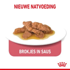 Royal Canin Kattenvoer Indoor 7+ In Gravy 12 X 85 Gr -Beeztees Winkel royal canin indoor sterilised 7plus gravy volwassen kat binnenkatten hero kibble