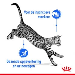 Royal Canin Kattenvoer Indoor 7+ In Gravy 12 X 85 Gr -Beeztees Winkel royal canin indoor sterilised gravy volwassen kat binnenkatten hero usp