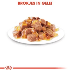 Royal Canin Kattenvoer Instinctive In Jelly 12 X 85 Gr -Beeztees Winkel royal canin instinctive in jelly volwassen kat kieskeurige katten hero kibble