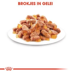 Royal Canin Kattenvoer Kitten In Jelly 12 X 85 Gr -Beeztees Winkel royal canin kitten in jelly kitten kat groeifase hero kibble