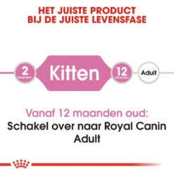 Royal Canin Kattenvoer Kitten 4 Kg 7 Royal Canin Kattenvoer Kitten 4 Kg -Beeztees Winkel royal canin kitten kitten kat groeifase hero image 8