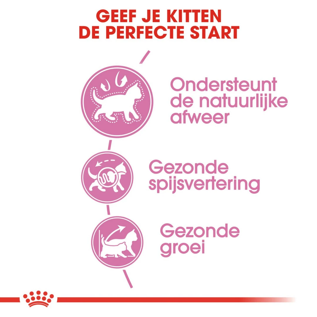Royal Canin Kattenvoer Kitten 4 Kg 3 Royal Canin Kattenvoer Kitten 4 Kg - Afbeelding 3
