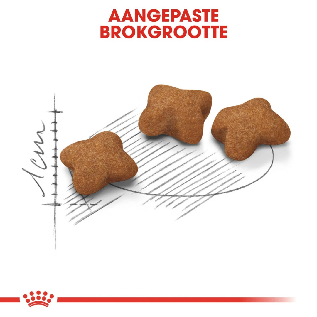 Royal Canin Kattenvoer Kitten Sterilised 2 Kg 2 Royal Canin Kattenvoer Kitten Sterilised 2 Kg - Afbeelding 2