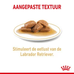 Royal Canin Hondenvoer Labrador Adult 10 X 140 Gr -Beeztees Winkel royal canin labrador retriever adult natvoer volwassen hond labrador vanaf 15 maanden hero kibble