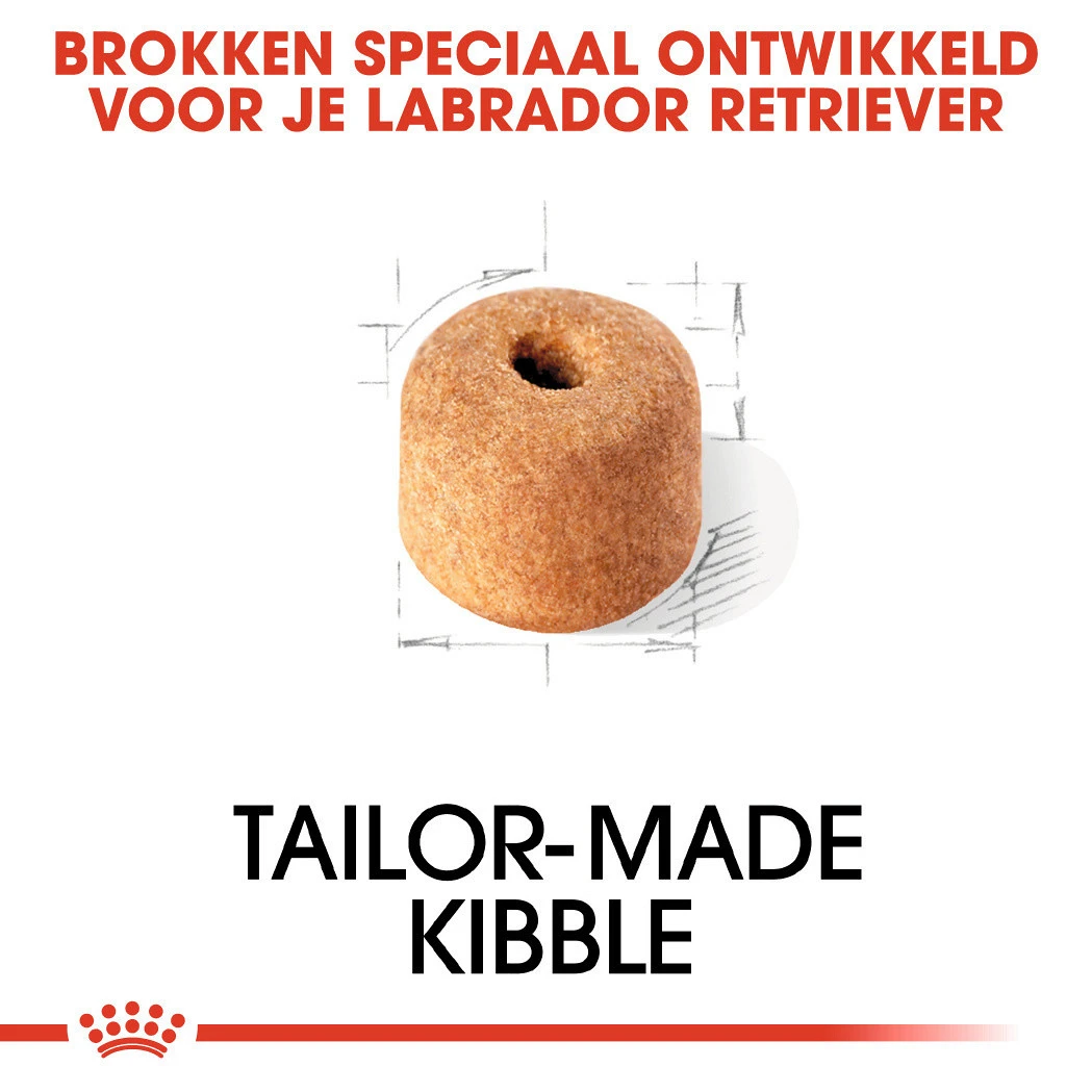 Royal Canin Hondenvoer Labrador Retriever Adult 12 Kg 2 Royal Canin Hondenvoer Labrador Retriever Adult 12 Kg - Afbeelding 2