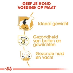 Royal Canin Hondenvoer Labrador Retriever Adult 12 Kg 5 Royal Canin Hondenvoer Labrador Retriever Adult 12 Kg -Beeztees Winkel royal canin labrador retriever adult volwassen hond labrador retriever vanaf 15 maanden hero usp