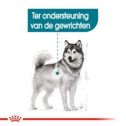 Royal Canin Hondenvoer Joint Care Maxi 10 Kg 7 Royal Canin Hondenvoer Joint Care Maxi 10 Kg -Beeztees Winkel royal canin maxi joint care volwassen hond ondersteuning gewrichten hero breed animal