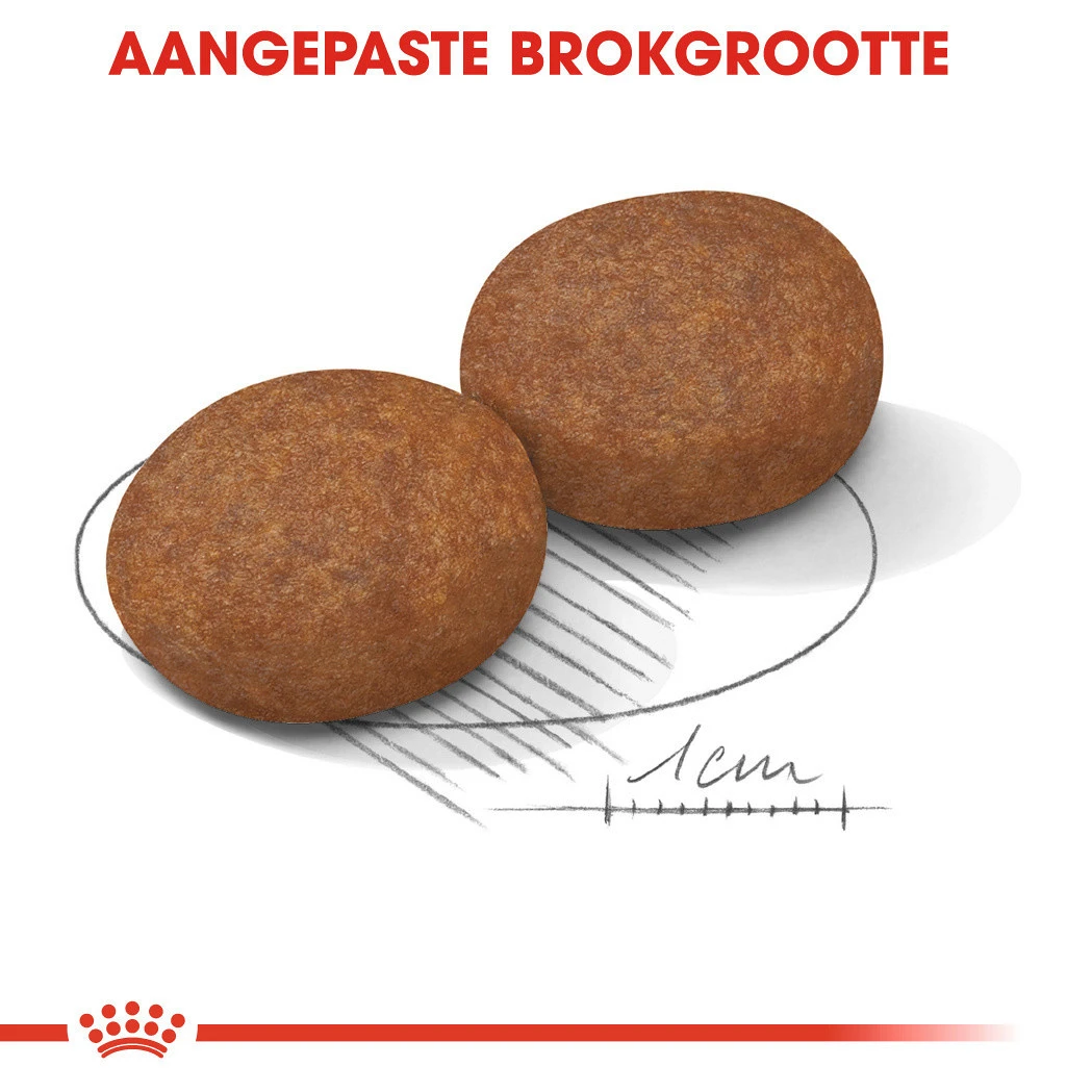 Royal Canin Hond Medium Adult 7+ 15 Kg 2 Royal Canin Hond Medium Adult 7+ 15 Kg - Afbeelding 2