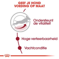 Royal Canin Hond Medium Adult 7+ 15 Kg 6 Royal Canin Hond Medium Adult 7+ 15 Kg -Beeztees Winkel royal canin medium adult 7plus volwassen hond middelgrote hondenrassen vanaf 7 jaar hero usp