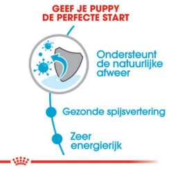 Royal Canin Hondenvoer Mini Puppy 4 Kg -Beeztees Winkel royal canin mini puppy pup hond kleine hondenrassen hero usp