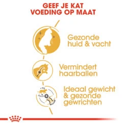 Royal Canin Kattenvoer Norwegian Forest Cat Adult 2 Kg 5 Royal Canin Kattenvoer Norwegian Forest Cat Adult 2 Kg -Beeztees Winkel royal canin norwegian forest cat adult volwassen kat noorse boskat hero usp 1