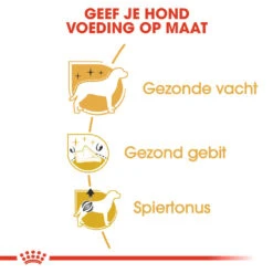 Royal Canin Hondenvoer Poodle Adult 1,5 Kg -Beeztees Winkel royal canin poodle adult volwassen hond poedel vanaf 10 maanden hero usp