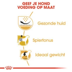 Royal Canin Hondenvoer Pug Adult 7,5 Kg -Beeztees Winkel royal canin pug mopshond adult volwassen hond mopshond vanaf 10 maanden hero usp