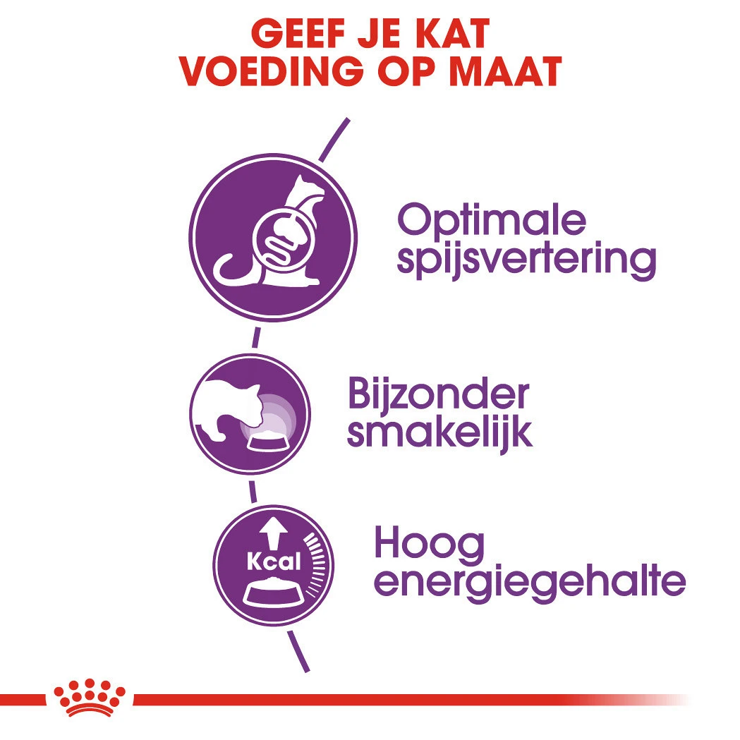 Royal Canin Kattenvoer Sensible 33 400 Gr 3 Royal Canin Kattenvoer Sensible 33 400 Gr - Afbeelding 3