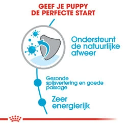 Royal Canin Hondenvoer X-Small Puppy 3 Kg 5 Royal Canin Hondenvoer X-Small Puppy 3 Kg -Beeztees Winkel royal canin x small puppy pup hond kleine hondenrassen hero usp