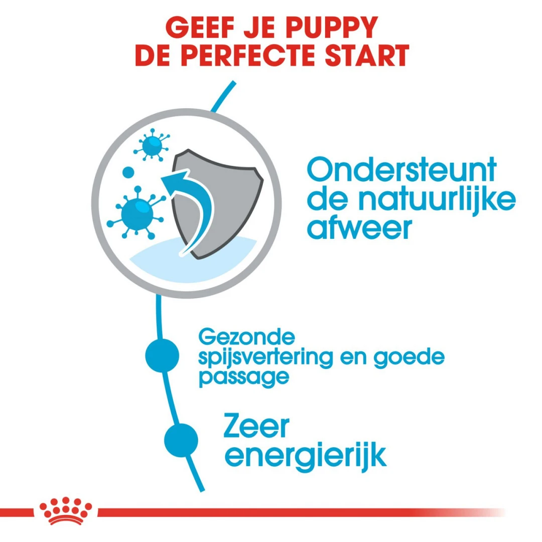 Royal Canin Hondenvoer X-Small Puppy 3 Kg 3 Royal Canin Hondenvoer X-Small Puppy 3 Kg - Afbeelding 3